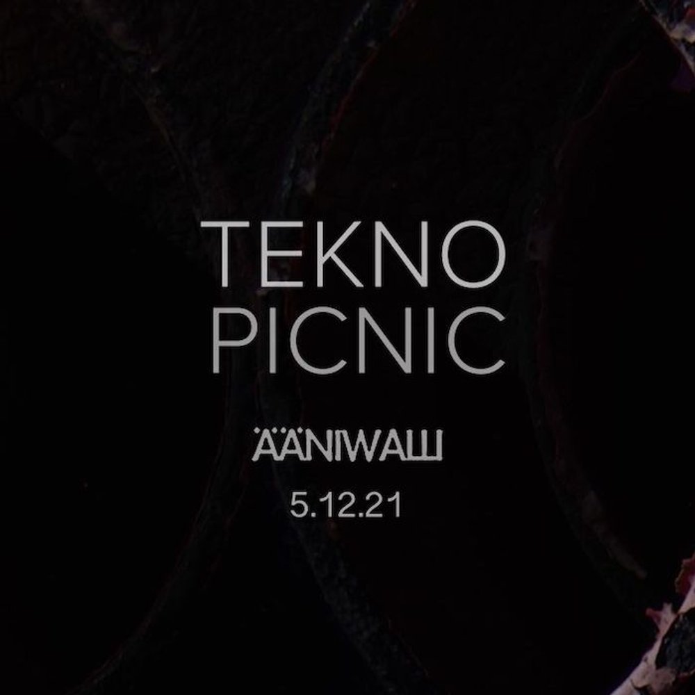 Teknopicnic: Ääniwalli III